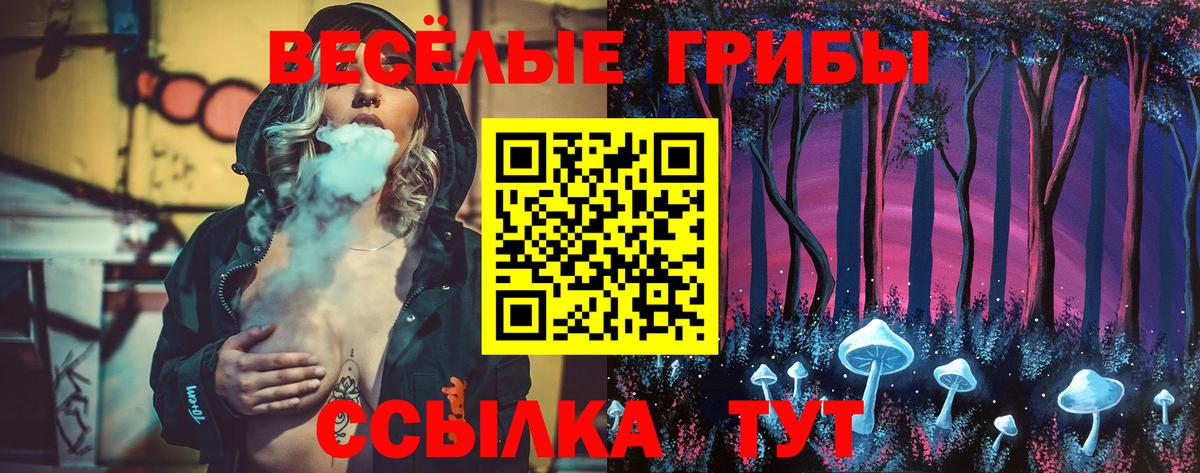 Галлюциногенные грибы Cubensis Тверь