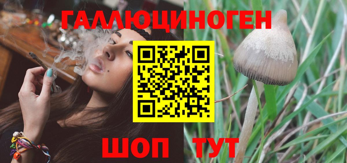 закладки  Галлюциногенные грибы Psilocybe  Вход с VPN  Галлюциногенные грибы GOLDEN TEACHER  Тверь 